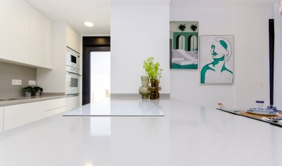 Nouvelle construction - Villa -
Vistabella