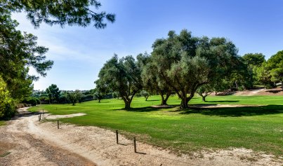 Resale - Villa -
Villamartín - Villamartin