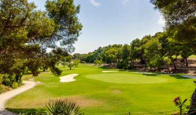 Resale - Villa -
Villamartín - Villamartin