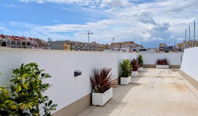 Neue Gebäude - Wohnung -
Torrevieja