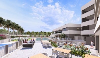 Nouvelle construction - Bungalow -
﻿Torrevieja (Alicante) - Spain