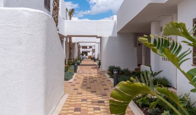 Neue Gebäude - Bungalow -
Pulpí  - Spain