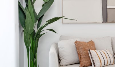 Nouvelle construction - Appartement -
Pilar de la Horadada