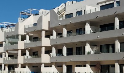 Återförsäljning - Lägenhet -
Villamartín - Villamartin