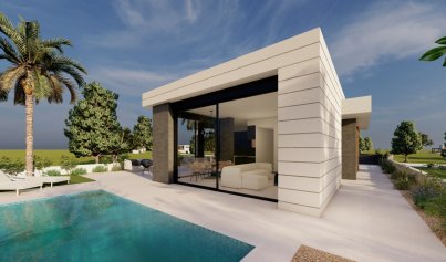 New Build - Villa -
Pilar de la Horadada
