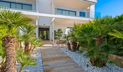 Resale - Apartment -
Las Colinas Golf Resort - Las Colinas Golf