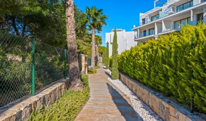 Resale - Apartment -
Las Colinas Golf Resort - Las Colinas Golf