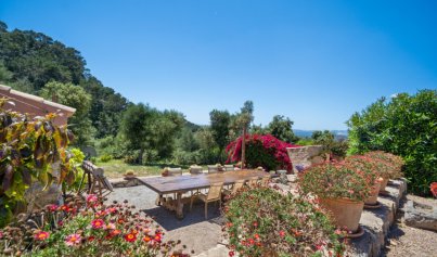 Resale - Finca / Country House -
Felanitx - Mallorca