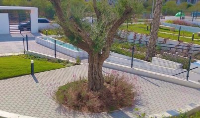 Resale - Apartment -
Orihuela Costa - Costa Blanca Sur