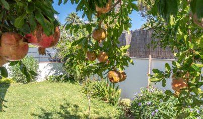 Resale - Villa -
Marrachí - Mallorca