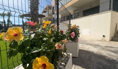 Resale - Bungalow -
Orihuela Costa - Villamartin