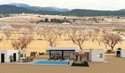 New Build - Villa -
Pinoso