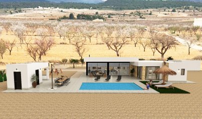 New Build - Villa -
Pinoso