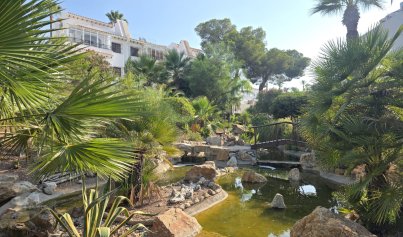 Resale - Apartment -
Villamartín - Verdemar