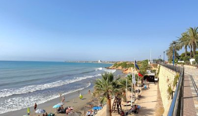 New Build - Villa -
Orihuela Costa - Punta Prima