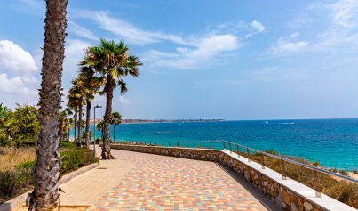 Resale - Penthouse -
Mil Palmeras - Riomar