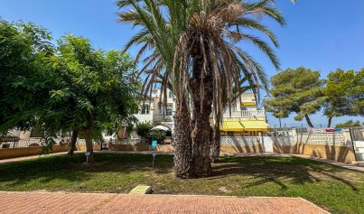 Resale - Bungalow -
San Miguel de Salinas - Bellavista