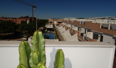 New Build - Apartment -
Pilar de la Horadada