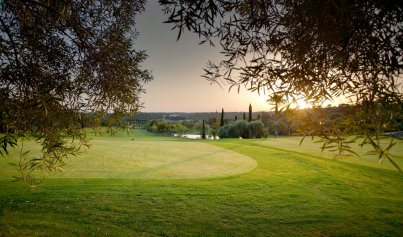 Resale - Apartment -
Campoamor