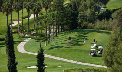 Resale - Apartment -
Campoamor
