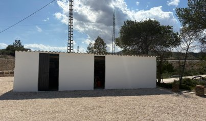 Återförsäljning - Country house -
Elche