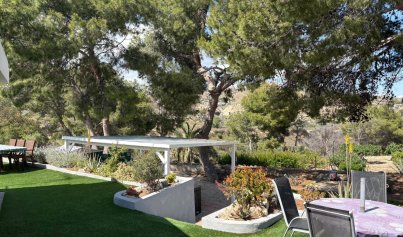Återförsäljning - Country house -
Elche