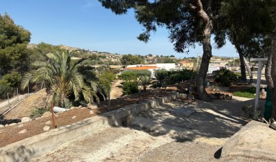 Återförsäljning - Country house -
Elche