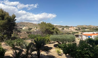 Återförsäljning - Country house -
Elche