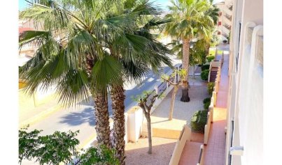 Resale - Apartment -
Playa Flamenca - Orihuela Costa