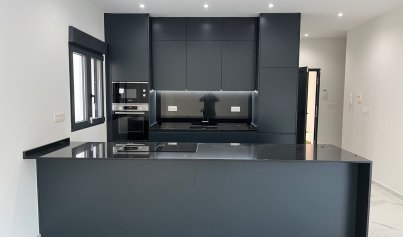 New Build - Villa -
La Romana