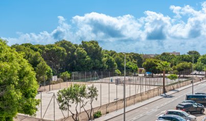 New Build - Villa -
Mil Palmeras