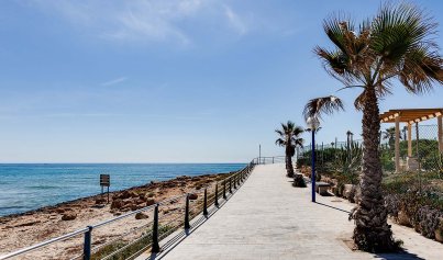 New Build - Villa -
La Zenia