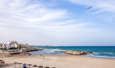 New Build - Villa -
La Zenia
