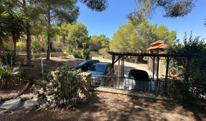 Resale - Finca / Country House -
San Miguel de Salinas - Costa Blanca Sur