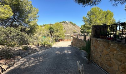Resale - Finca / Country House -
San Miguel de Salinas - Costa Blanca Sur