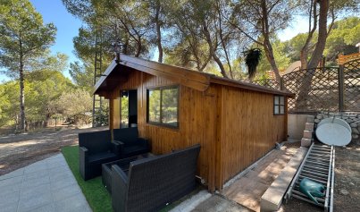Resale - Finca / Country House -
San Miguel de Salinas - Costa Blanca Sur