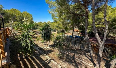 Resale - Finca / Country House -
San Miguel de Salinas - Costa Blanca Sur