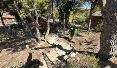 Resale - Finca / Country House -
San Miguel de Salinas - Costa Blanca Sur