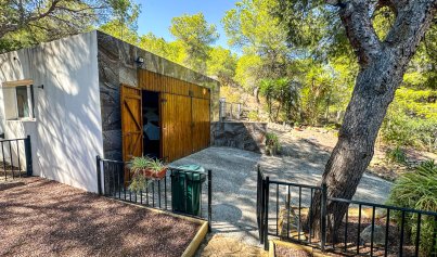 Resale - Finca / Country House -
San Miguel de Salinas - Costa Blanca Sur