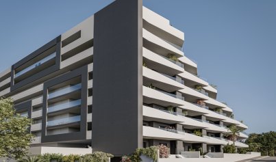 New Build - Apartment -
San Miguel de Salinas