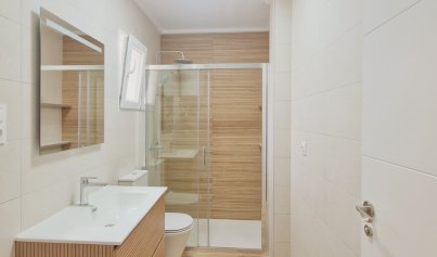 New Build - Apartment -
San Fulgencio