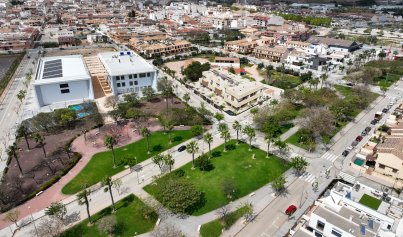 Nouvelle construction - Appartement -
Pilar de la Horadada