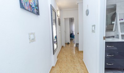 Wiederverkauf - Stadthaus -
Playa Flamenca