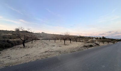 Resale - Plot -
Torremendo - Costa Blanca