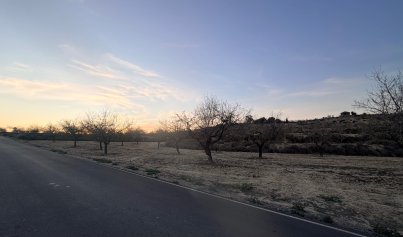 Resale - Plot -
Torremendo - Costa Blanca