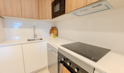 New Build - Apartment -
San Fulgencio