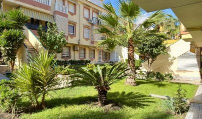Herverkoop - Appartement / flat -
Torrevieja - La Veleta