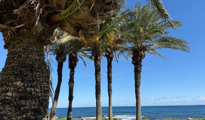 Herverkoop - Appartement / flat -
Torrevieja - La Veleta