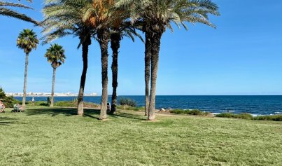 Herverkoop - Appartement / flat -
Torrevieja - La Veleta