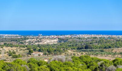 Resale - Villa -
San Miguel de Salinas - San Miguel